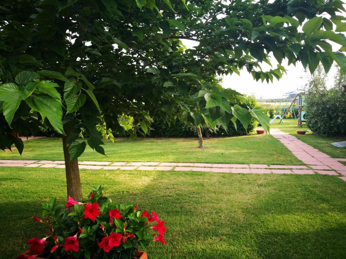 Agriturismo Alturetta Riotorto Exterior foto